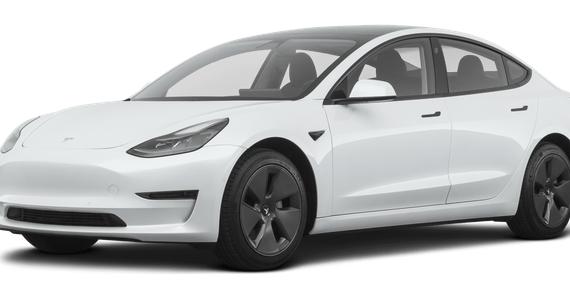 TESLA MODEL 3 2021 5YJ3E1EA7MF091460 image